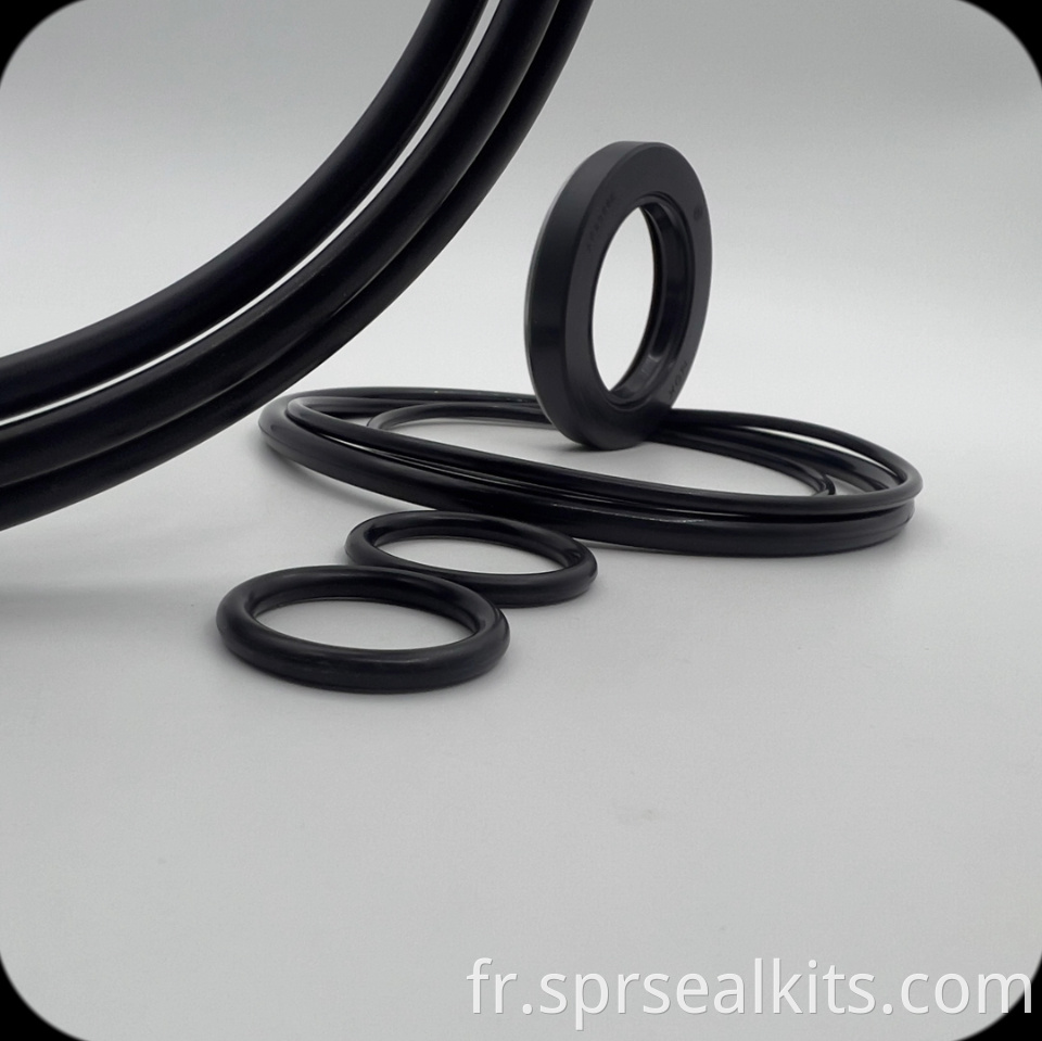 64-Swing Motor Seal Kit